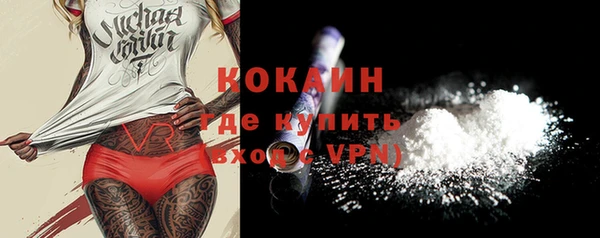 МДПВ Няндома