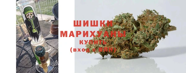 дживик Нягань
