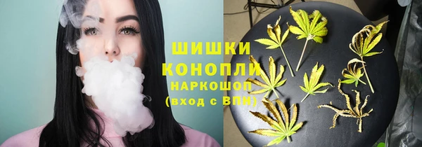 МДПВ Няндома