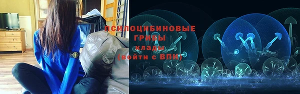 дживик Нягань