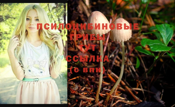 МДПВ Няндома