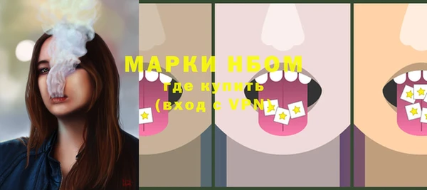 МДПВ Няндома