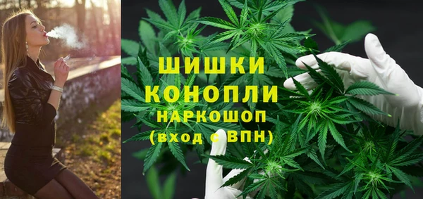 дживик Нягань