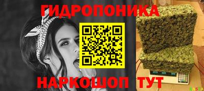 эйфоретик Гусь-Хрустальный