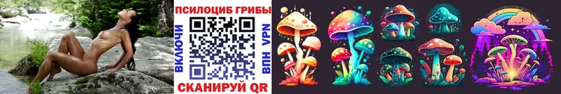 Галлюциногенные грибы GOLDEN TEACHER купить наркотик Северск
