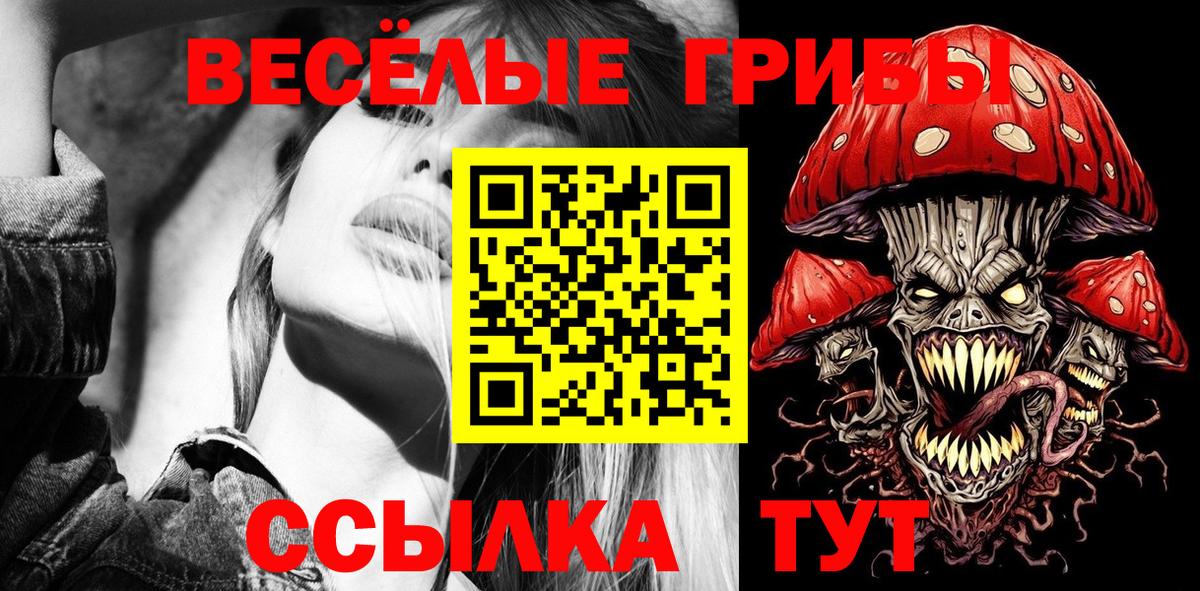 Псилоцибиновые грибы Северск