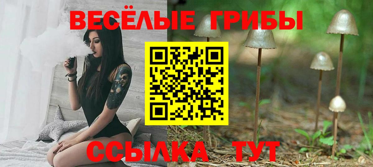 Псилоцибиновые грибы Cubensis  Вход с VPN  Северск 