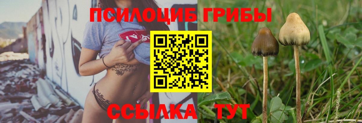 Экстази  Северск  МАРИХУАНА  ГАШИШ  Меф   Гашиш  МЕТАМФЕТАМИН  Вход с VPN  НБОМе 