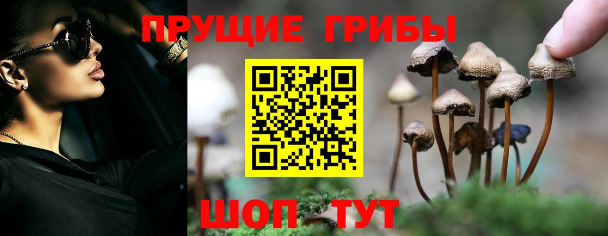 Галлюциногенные грибы прущие грибы Северск