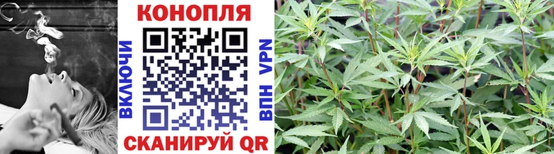 Каннабис план  сайты даркнета официальный сайт  Северск  kraken ONION 